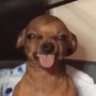 TalkShitGetFucked's profile picture
