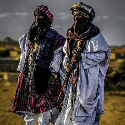 Smail_ALG54's profile picture