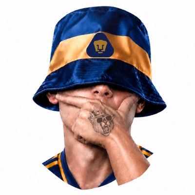 Pumajestad's profile picture