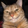 Joyful Happy's profile picture