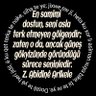 Zeynelabidînê Arîkele زەینەلعابدینێ ئاریکەلە profil fotoğrafı