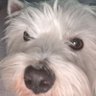 Profilbild von wudkfu