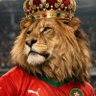 Profilbild von moroccan875