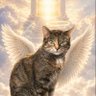 Фото профиля Derek ✝️