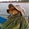منهو ذيه profil fotoğrafı