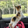 babylove's profile picture