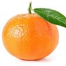 Фото профиля huelo@mandarina