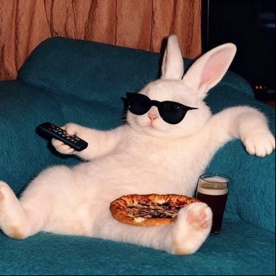 :𝗣𝗦𝗜𝗔.𝗘𝗟ツ 🐶🐰( รักอิงล็อต )🏳️🌈's profile picture