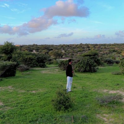 Indhayare's profile picture
