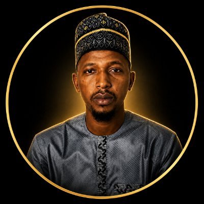 Mahmoudsardauna's profile picture