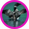cens105's profile picture