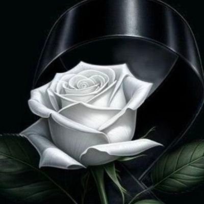 MiCarratu's profile picture