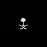 Lama Alomair's profile picture