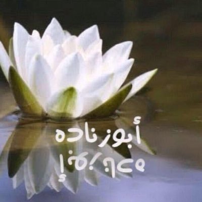 د. زياد أبوزناده / Dr. Ziad's profile picture