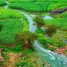 ابو شوق 🌲 profil fotoğrafı