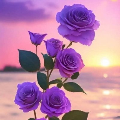 IbrahimSms9027's profile picture