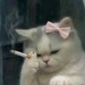 diara's profile picture