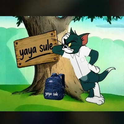 Yaya Sule.'s profile picture