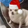 Profilbild von Austin