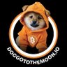 Ronaldo🧡$DOG Bitcoin🇧🇷 profil fotoğrafı