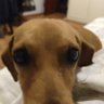 Carooool's profile picture
