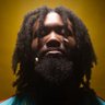 Wolfchulo 🐺🐾's profile picture
