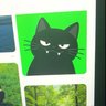 slime 🍀's profile picture