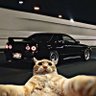fuark's profile picture