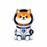 Profilbild von Asteroid Shiba | Fan Page