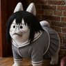 Profilbild von yogurtchan😷🫙🥛🚩