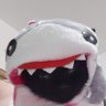 flop 的头像