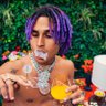 Dom Dellon 1° 🦊🥶 profil fotoğrafı