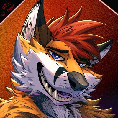 coltofox's profile picture