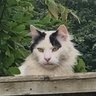 Profilbild von Max