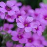 Фото профиля MayBerry