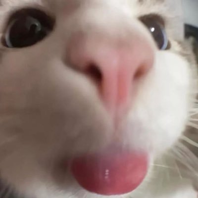 🧧หมวยล์นาม่อน 💜🍑🐇's profile picture