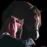 نــاصــر 的头像