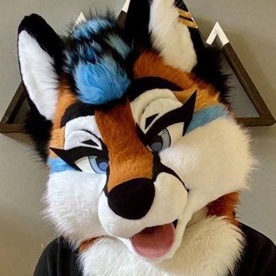 Ari 🦊's profile picture