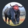 .'s profile picture