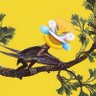Фото профиля Pterodactyl