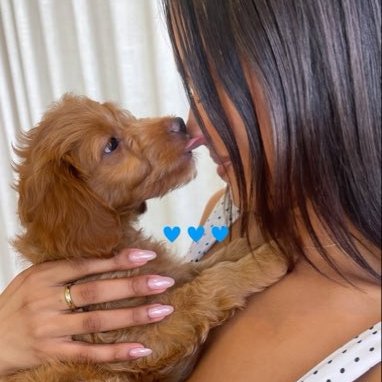 MissPosEmilia's profile picture