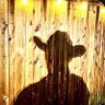 Grayson Lee's profile picture
