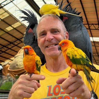 whysowhatnow's profile picture