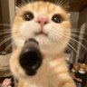 Profilbild von ATH