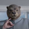 Profilbild von theotterside