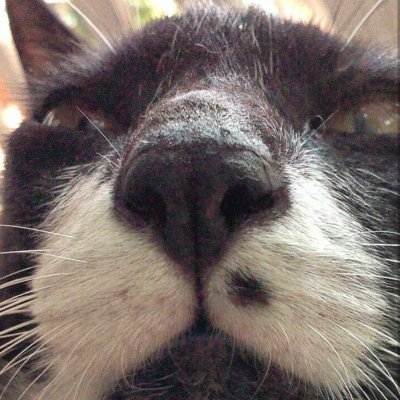 💚🦭kaewsaii🐳🩷's profile picture