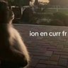 proLarper profil fotoğrafı