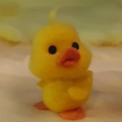 제빵이🎗's profile picture