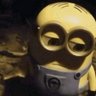 Minion Sincero Bolso-Renanista 🟦🟩🟨⬜⬛'s profile picture