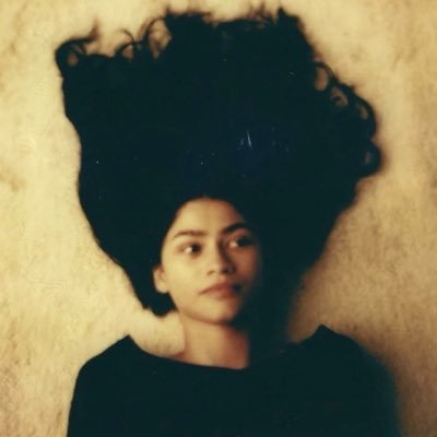 hollanderbf's profile picture